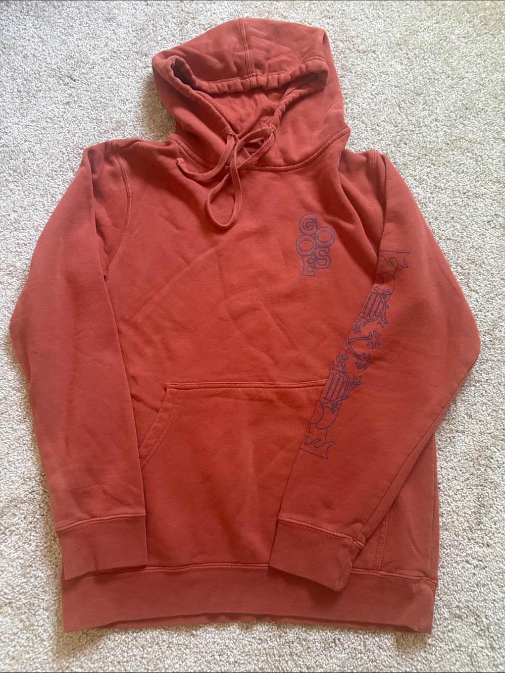 GOOSE THE BAND hoodie unisex MADALENA